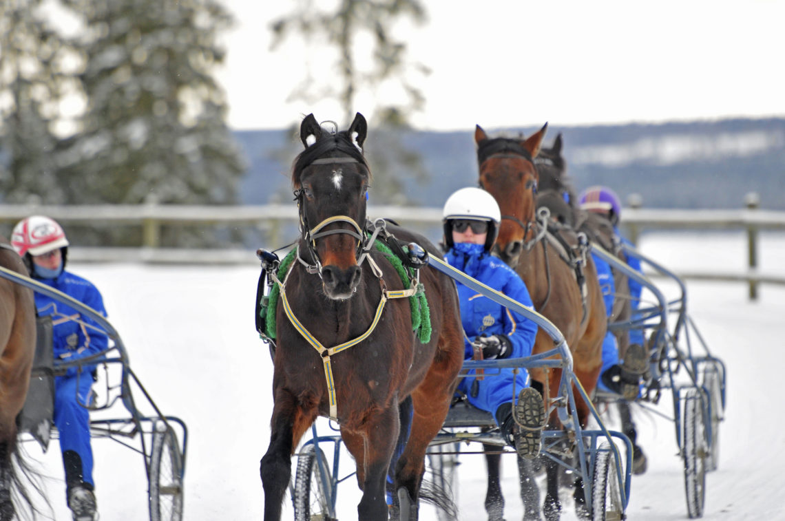 Elever kör trav på Wångens travbana i snö