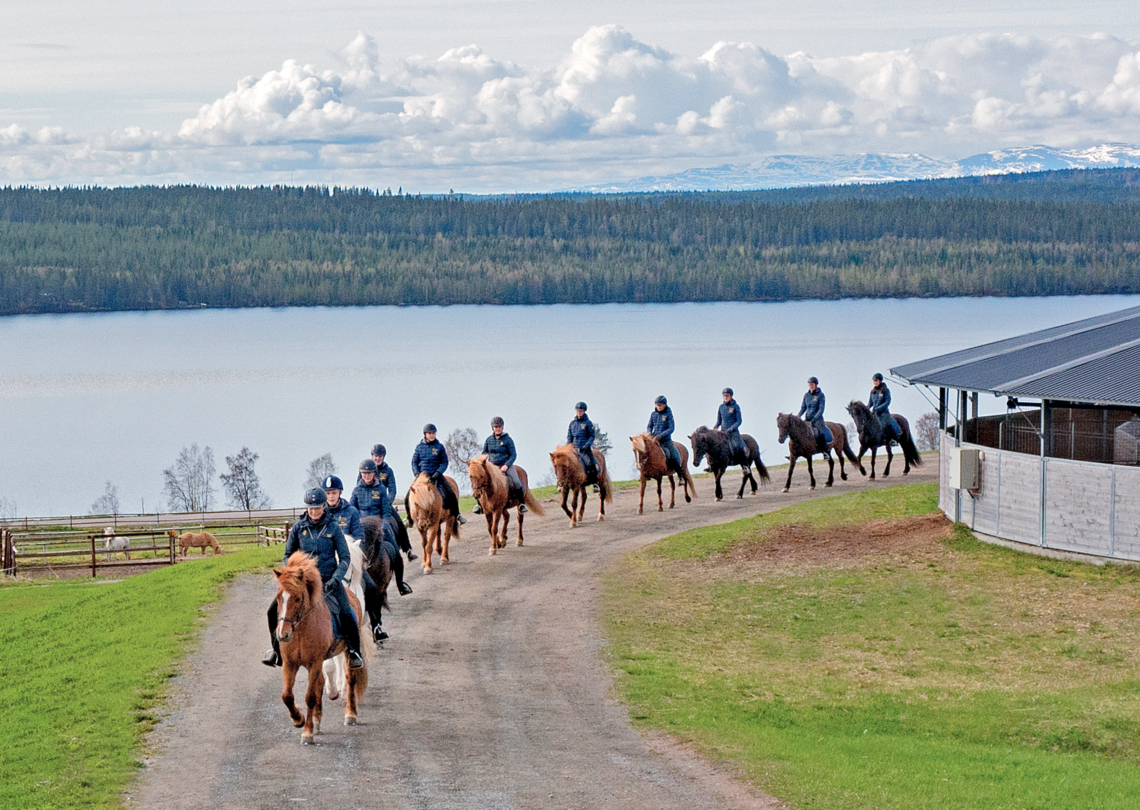 Tio hästar med ryttare går på led på en väg. I bakgrunden syns en sjö, skog och fjäll