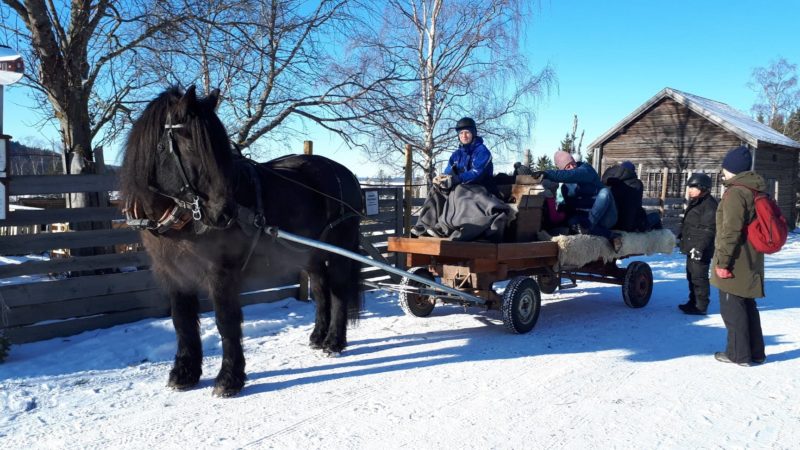 Svart nordsvensk framför vagn med kuskelev som kör och barn på vagnen