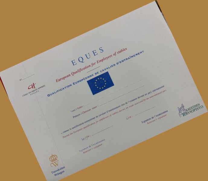 Bilden visar EQUES diplomet med EU-flaggan i mitten