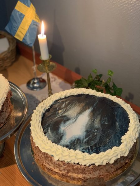 Tårta med bild på mulen på en nordsvensk brukshäst på