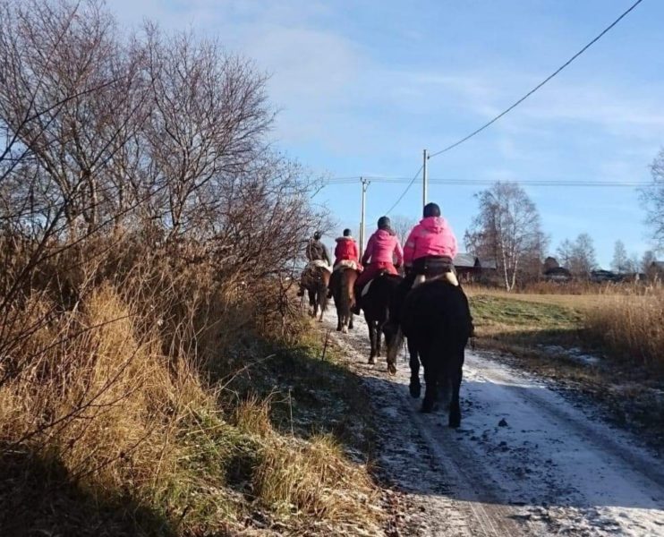 Fyra hästar med ryttare syns bakifrån på grusväg med lite snö. Runt om ängsmark i höstfärger. 
