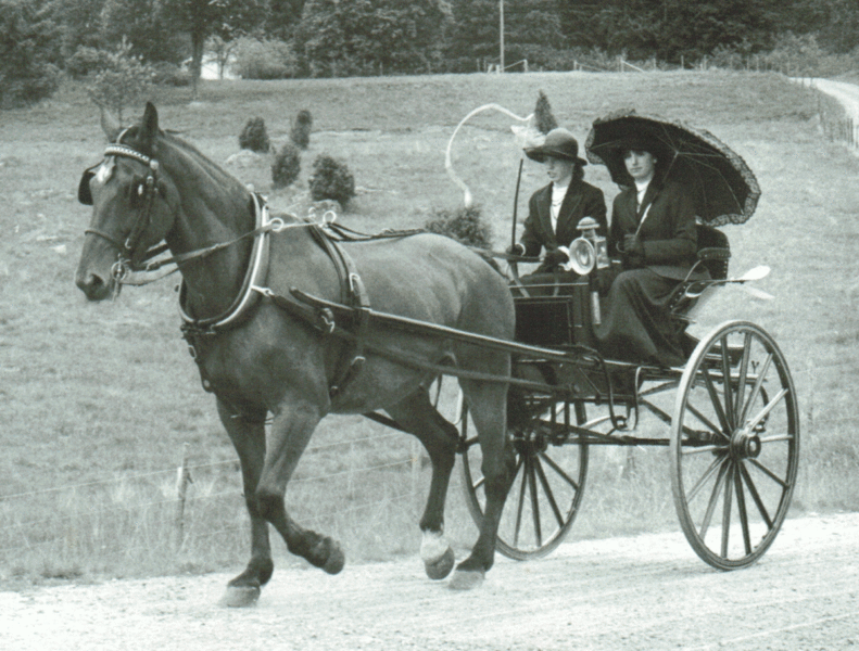 Svartvit bild med gigg spänd bakom en häst. I vagnen sitter två damer klädda i hatt och klänning. Personen brevid kusken har ett parasoll. 