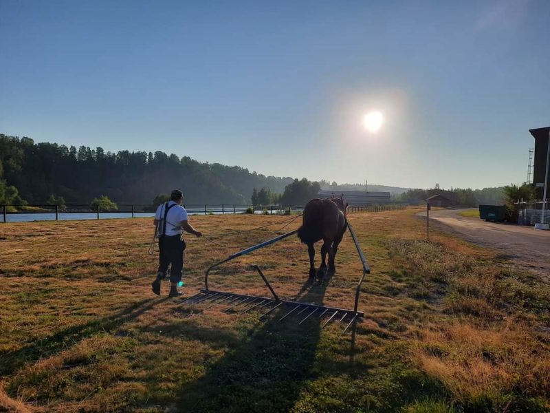 Man går bakom och kör häst som är spänd framför jordbruksredskap. De går i motljus mot solnedången
