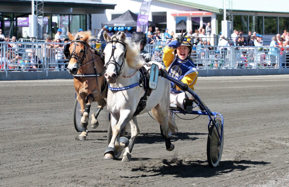 Vit ponny körs av kusk i Wångens gula och blå travdress. Kusken gör segertecken i luften med högerhanden och ser väldigt glad ut