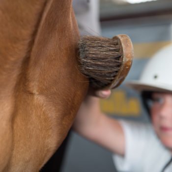 Ett barn borstar en häst - en bild som får symbolisera Hästunderstödda insatser