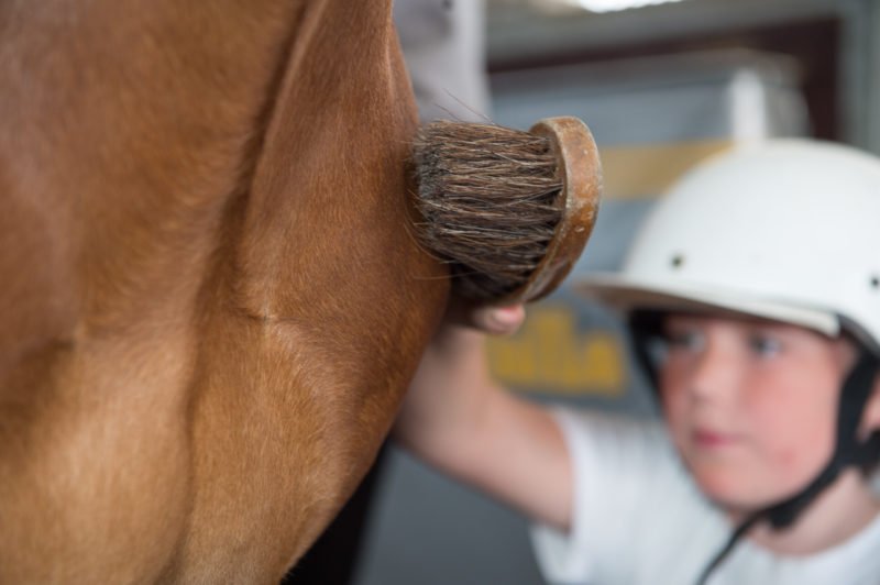 Ett barn borstar en häst - en bild som får symbolisera Hästunderstödda insatser