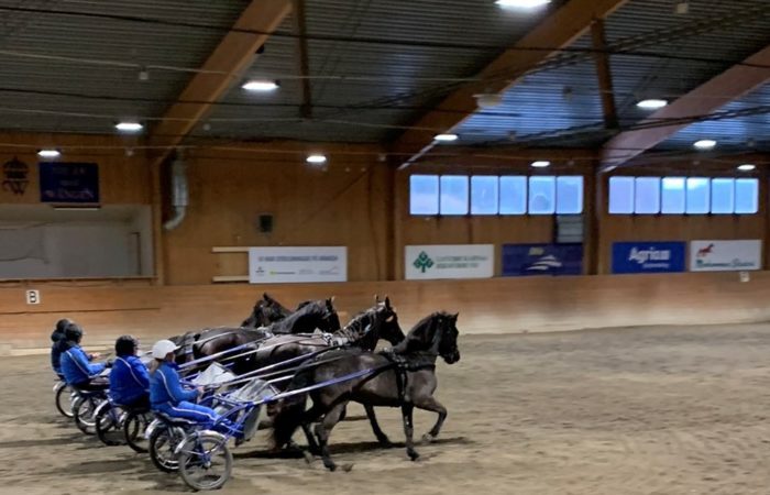 Fyra travekipage i rad i Wångens ridhus övar travkadrilj inför uppvisningen på Sweden International Horse Show