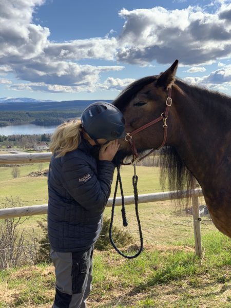 Kvinna pussar nordsvensk brukshäst på mulen