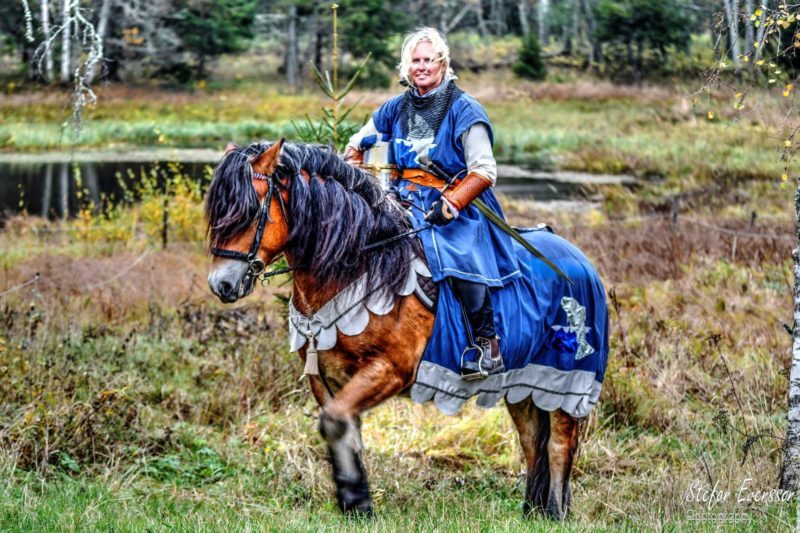 Kvinna klädd som riddare i blått rider en nordsvensk brukshäst utsmyckad med blått täcke och dekorationer runt halsen.