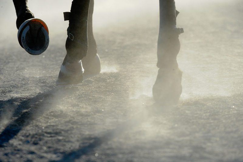 Närbild på hovar som trampar på en dammig bana. Barfotakörning är en av anledningarna till att utbildade hovslagare i travet är viktiga