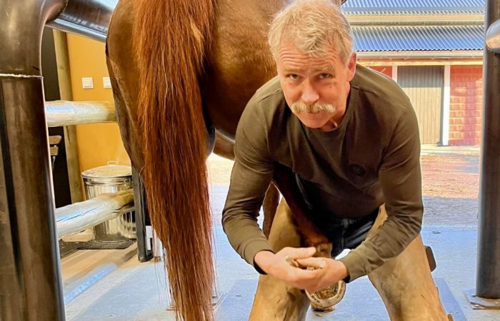 Hovslagare Mikael Westberg står på stallgång med en hästs bakben mellan benen och en hovtång i händerna. Han tittar in i kameran.