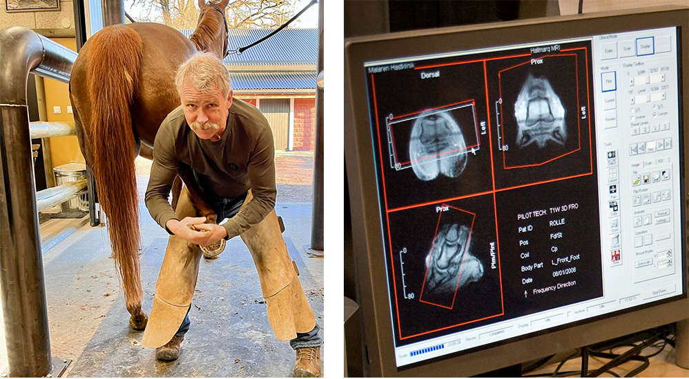 Hovslagare Mikael Westberg står på stallgång med en hästs bakben mellan benen och en hovtång i händerna. Han tittar in i kameran. Bild två föreställer tre röntgenbilder på en hov underifrån och från sidorna.