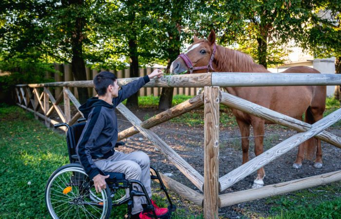 A disabled person in a wheelchair observes a horse in a fence and tries to feed it with grass over the fence.