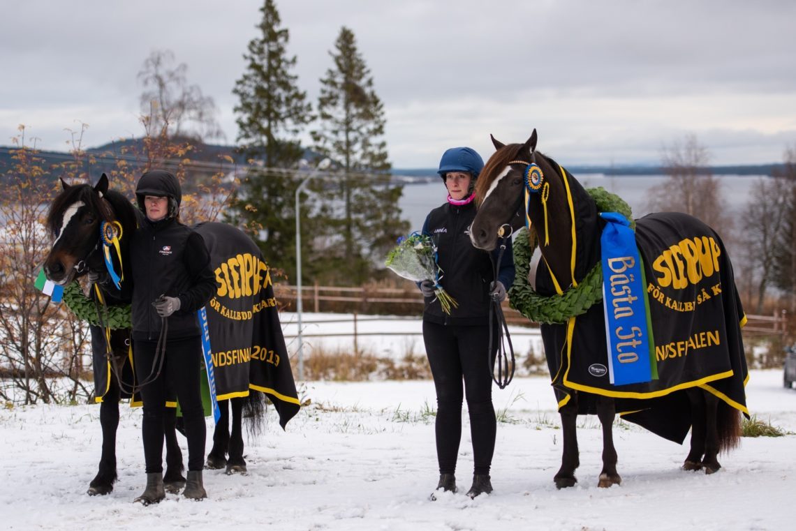 två hästar uppställda med svarta tecken med texten Sleipners Landsfinal på