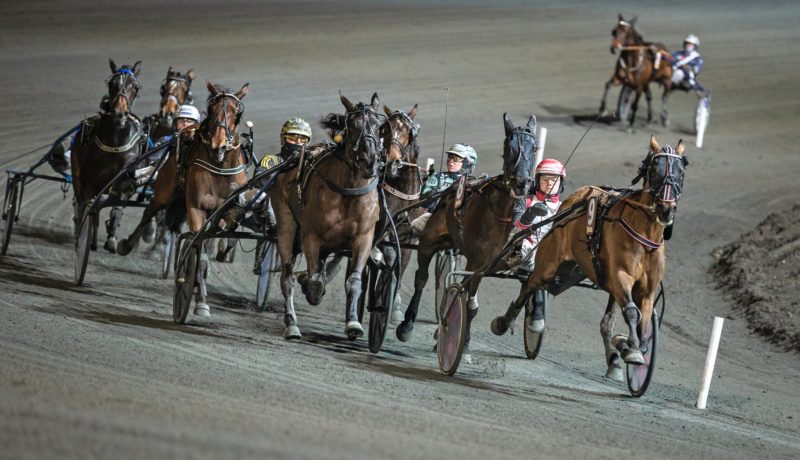 Wången Cup upploppet på Solvalla