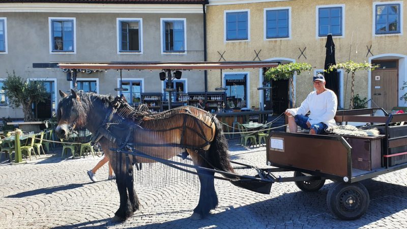 Man kör häst över kullerstensgatorna i centrala Visby.