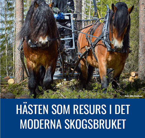 Bild på framsida av rapport. Bilden föreställer en man som kör griplastarvagn med ett par nordsvenska brukshästar