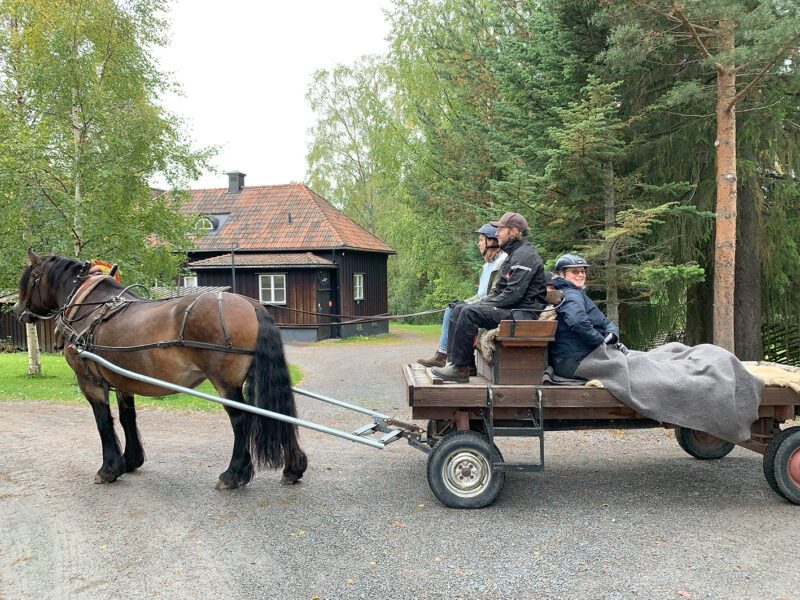 Nordsvensk brukshäst drar en vagn med instruktör och elev på kuskbocken och två personer på flaket som sitter under en filt