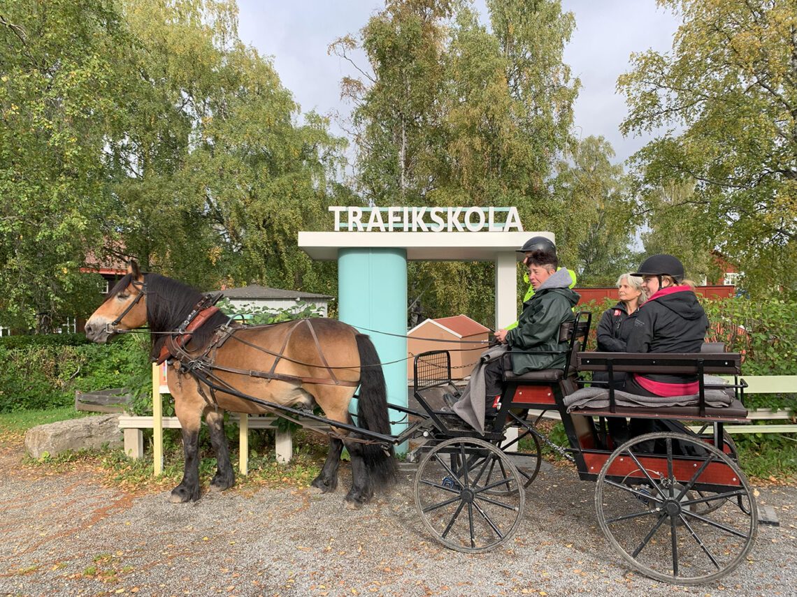 Nordsvensk brukshäst spänd framför en vagn står parkerade framför en skylt med Trafikskola, ett område för barn på friluftsmuseet Jamtli.