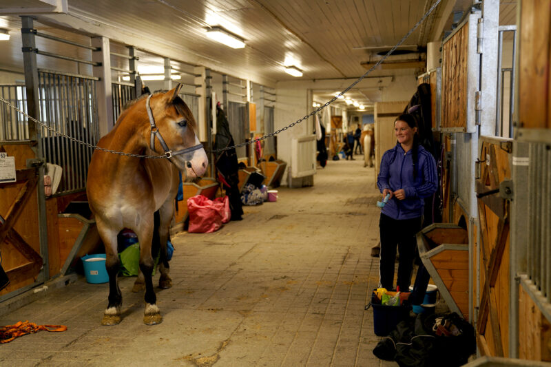 En kallblodstravare står uppställd i en stallgång. Hästen har klivit åt sidan och tittar mot sin matte som står snett bakom hästen. I övrigt är det tomt i stallgången förutom en hinkar och höpåsar