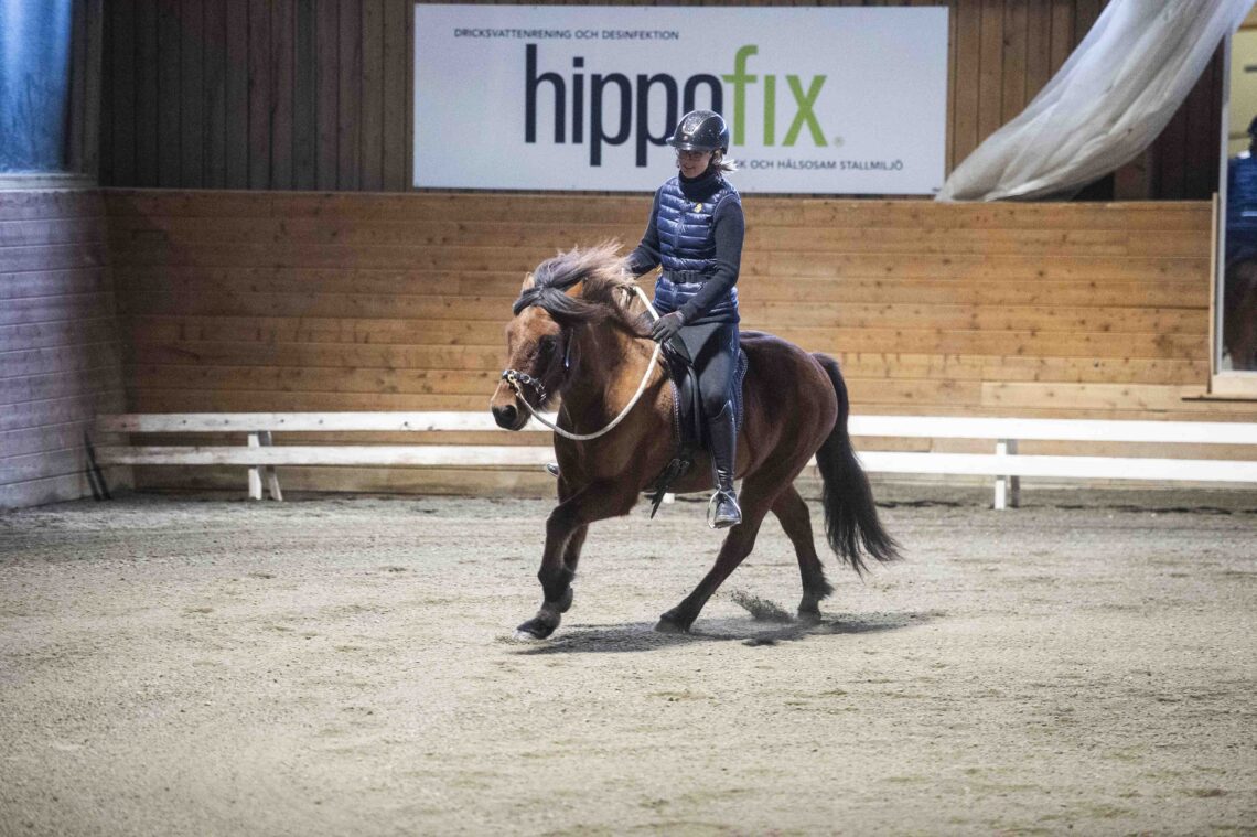 Hippologstudent Tuva Ekström kommer att tävla i Alternativa Mästerskapen. På bilden rider en islandshäst i kapson i Wångens ridhus