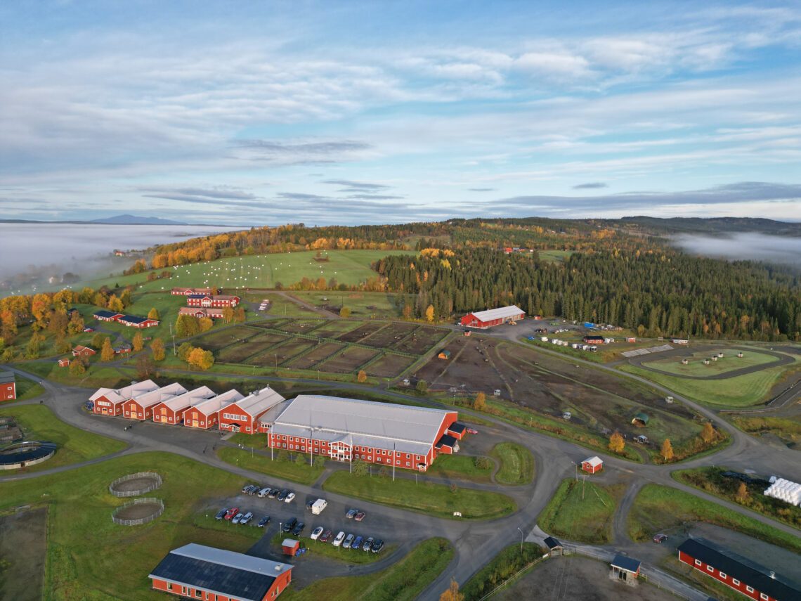 Drönarbild över Wångens område en höstdag. Röda stallbyggnader och hagar och skog i vackra höstfärger.