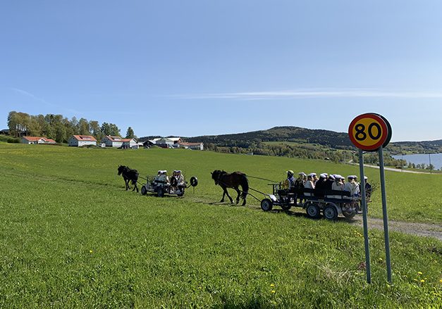 På Wången finns naturbruksprogrammet hästhållning.