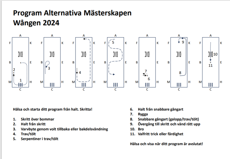 Bilden visar ridvägar för programmet i Alterntiva Mästerskapen